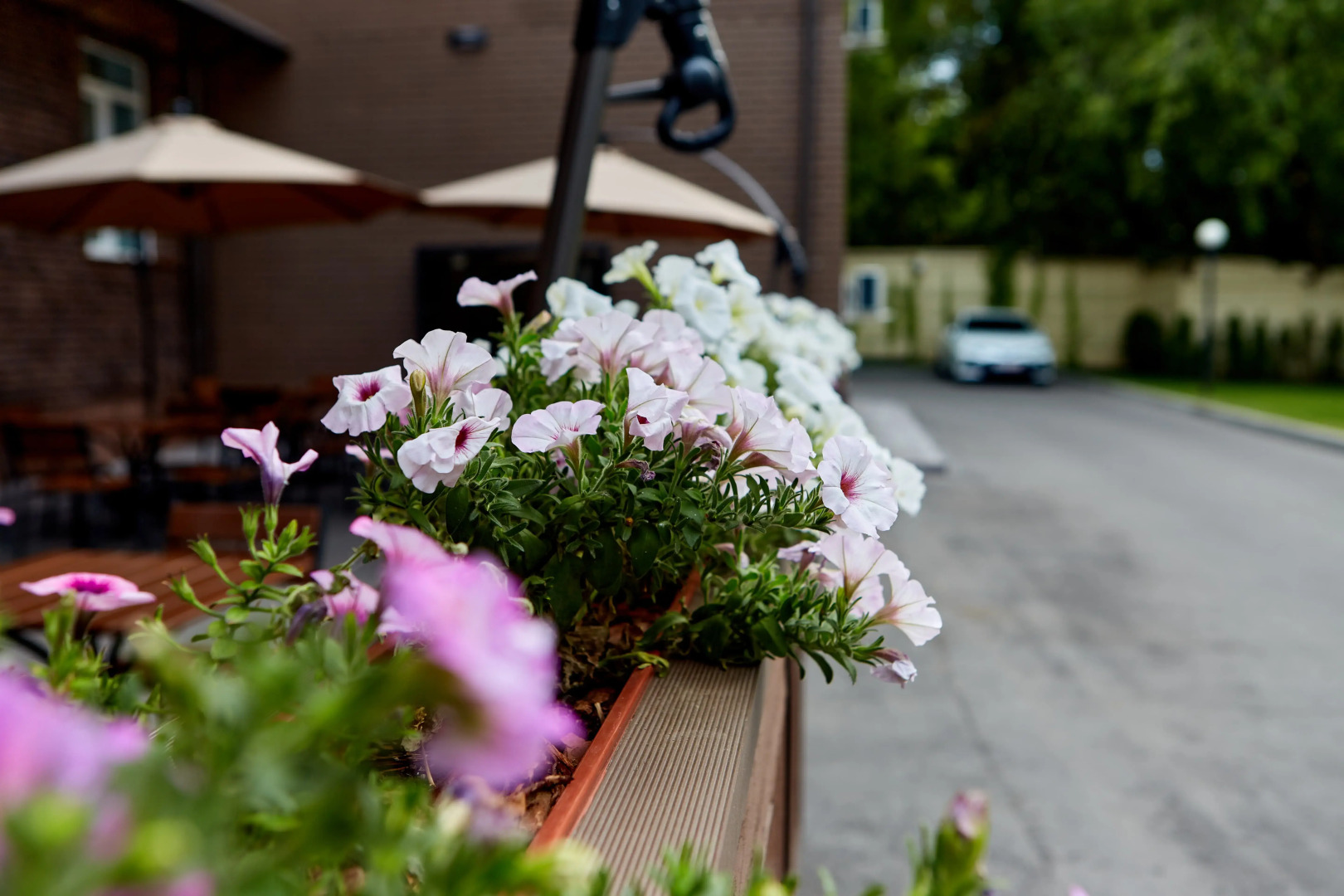 Отель Ситипарк