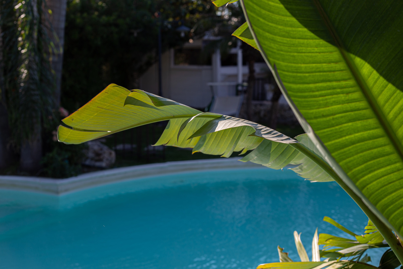 Masseria Messapia Wine Resort & SPA Отель