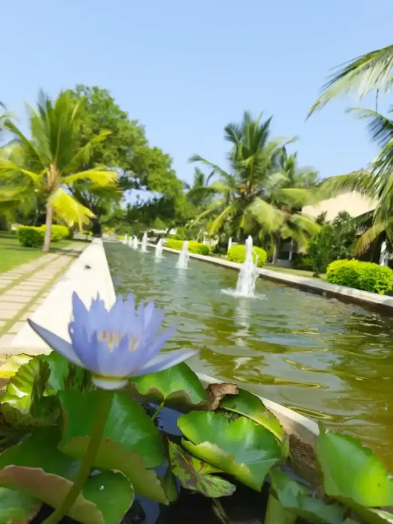 Отель The Villas Wadduwa