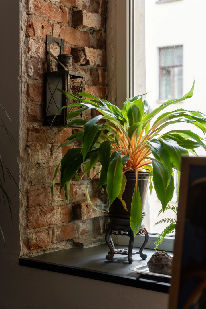 Апартаменты Sergeew Apartments Премиум у Мариинского театра для ценителей искусства