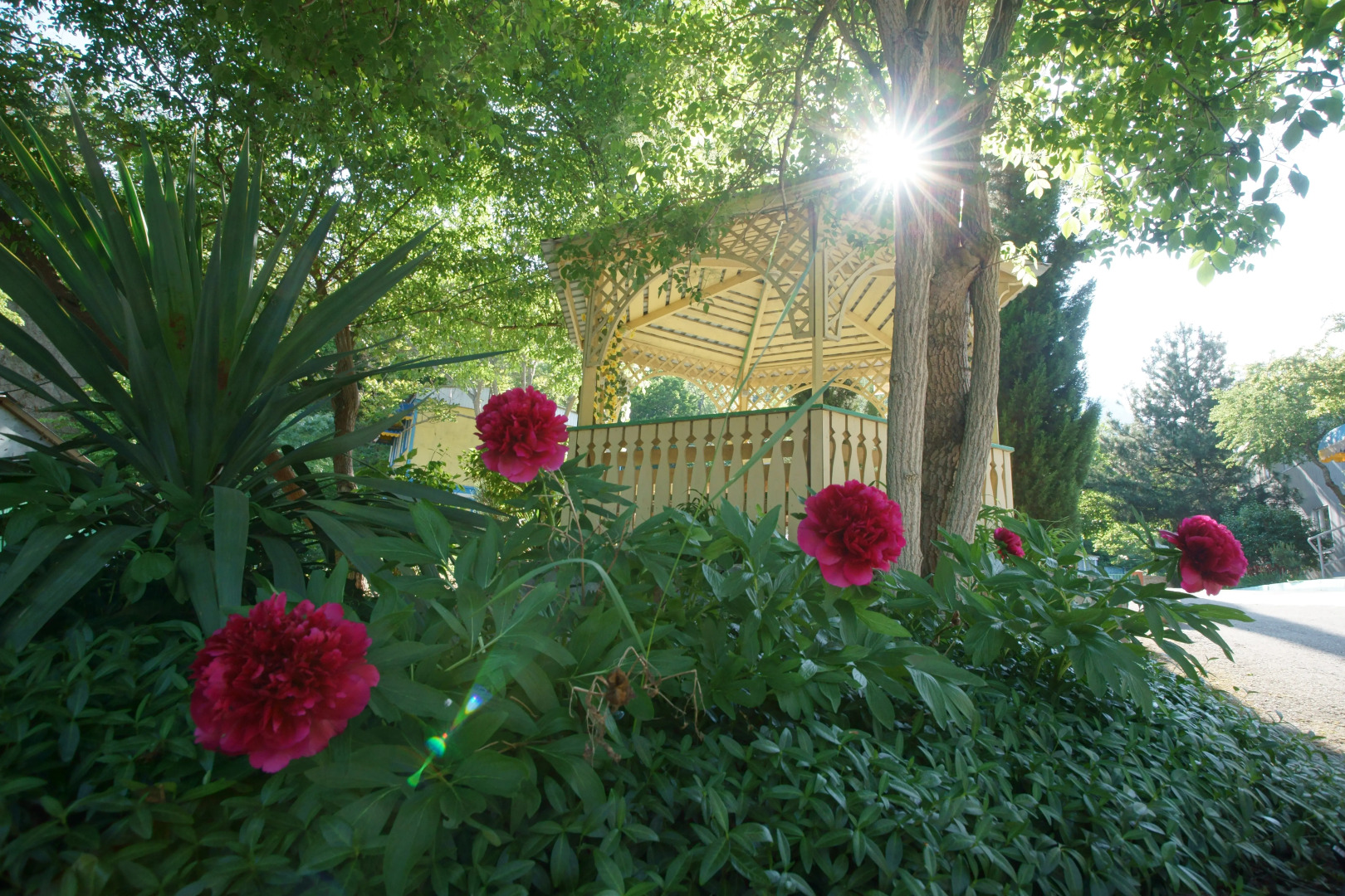 Пансионат Ай-Лия