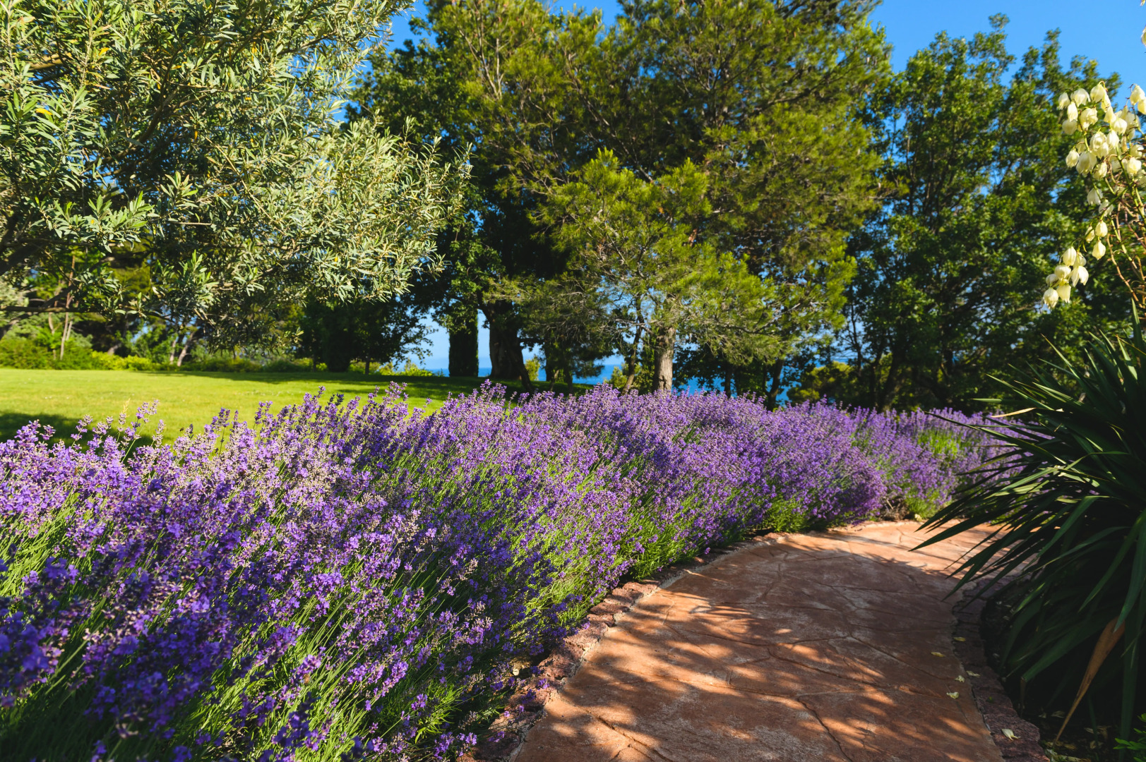 Отель Крымский Бриз Hotel & Villas