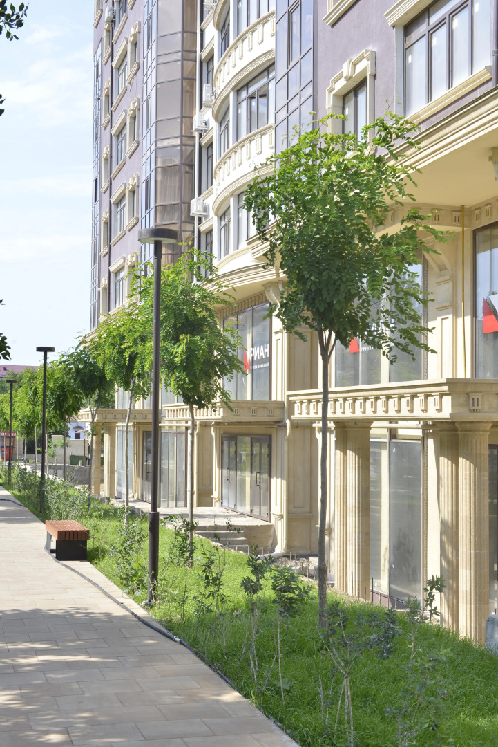 Апартаменты Park House Alieva Luxury