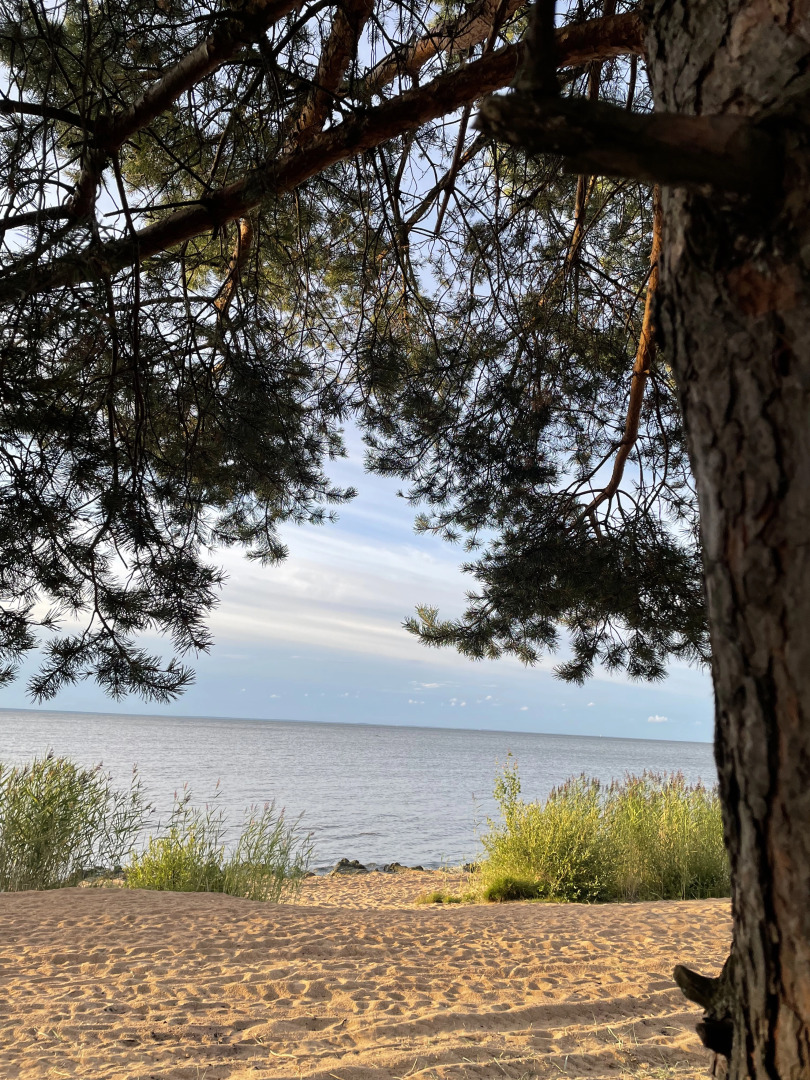 Частный дом Styl/house