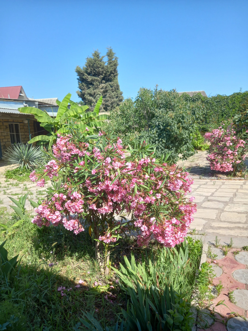 Гостевой дом Риал