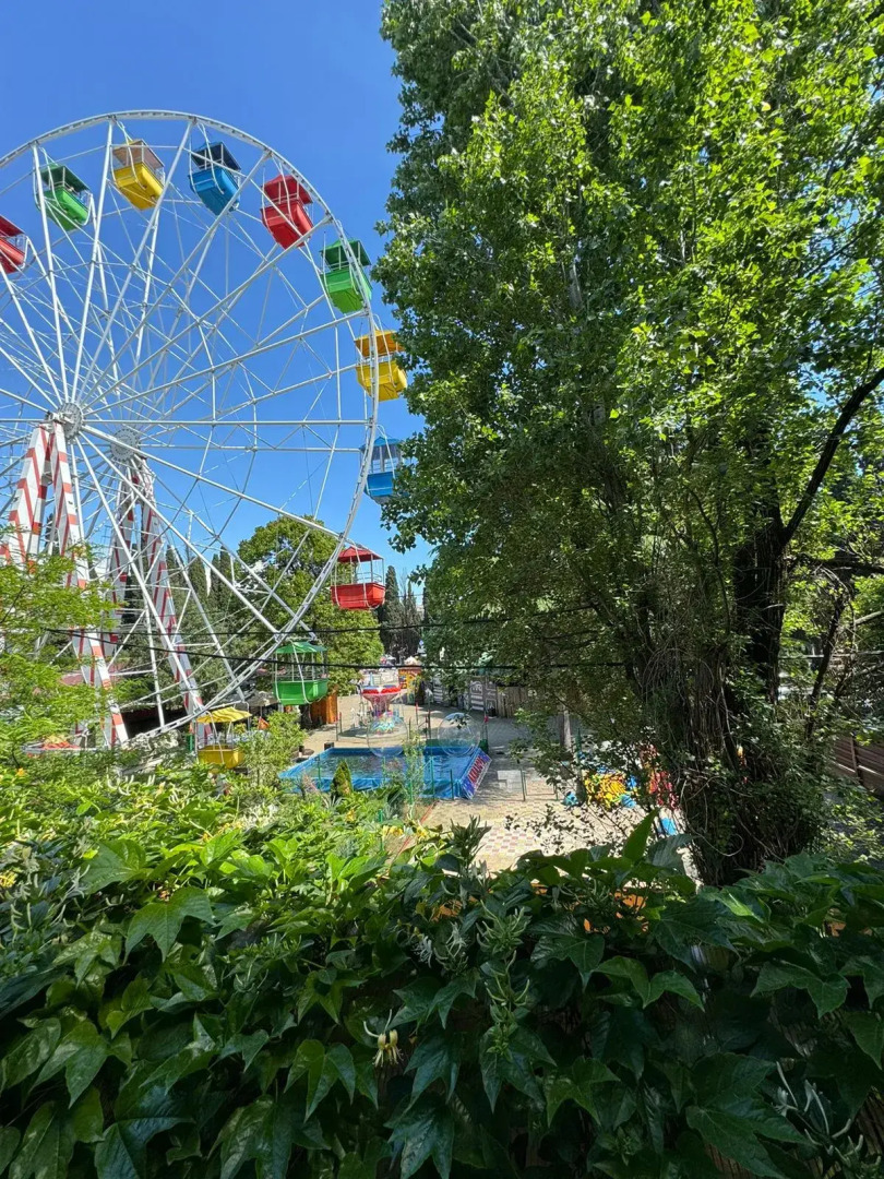 Отель Тростник