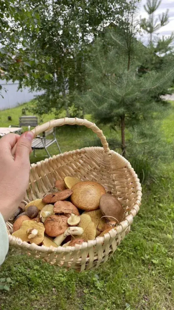 Частный дом 95