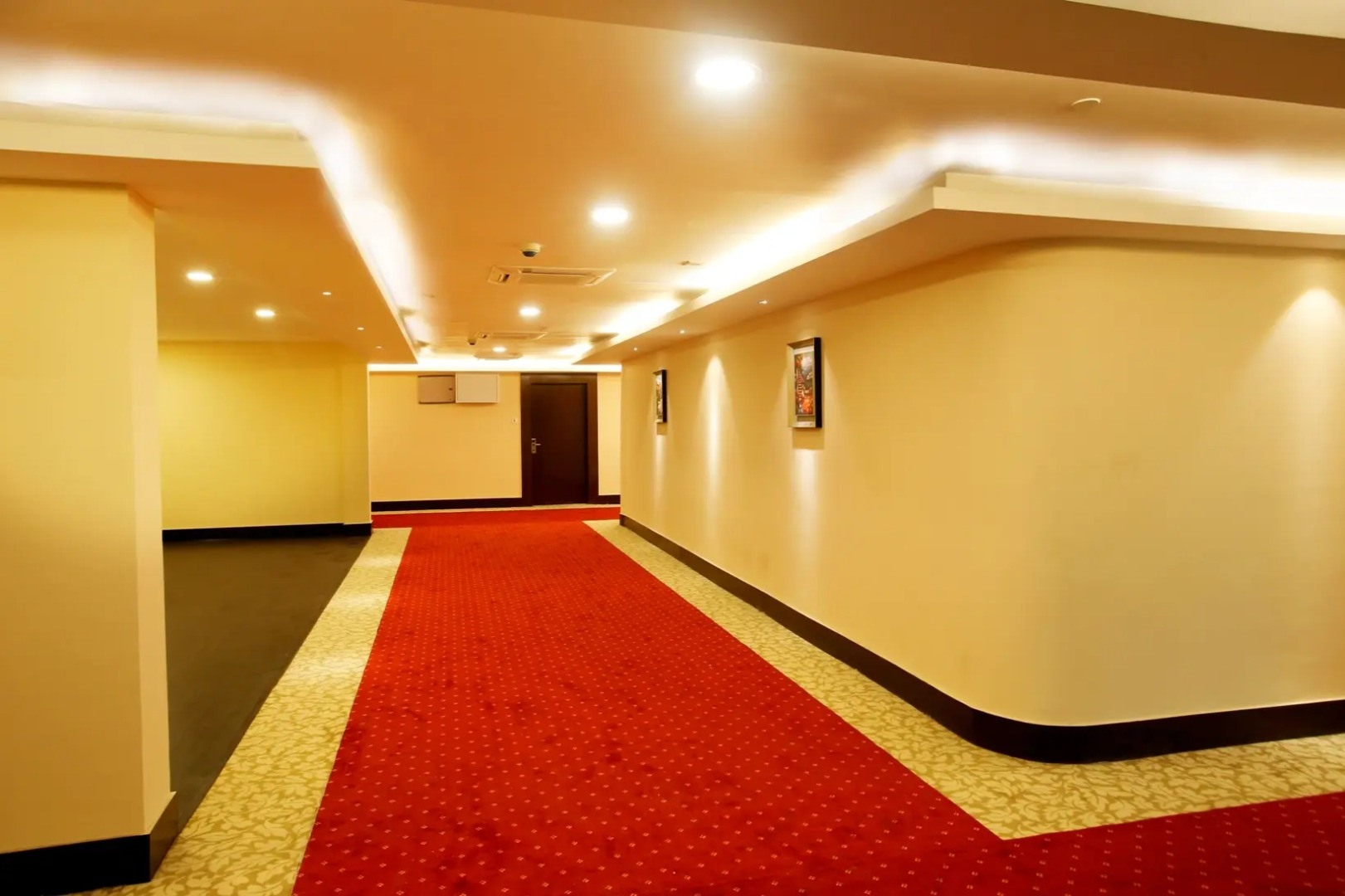 Отель Patliputra Continental