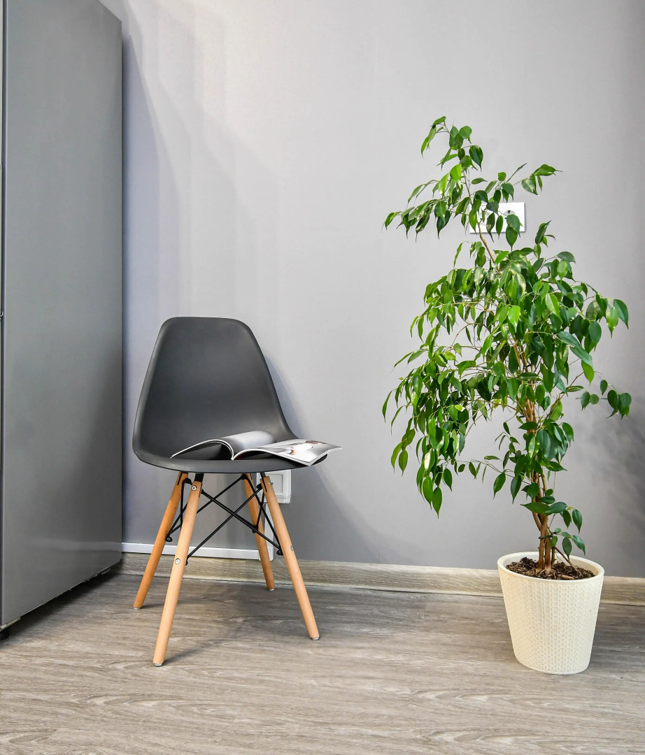 Квартира 1 к LUX