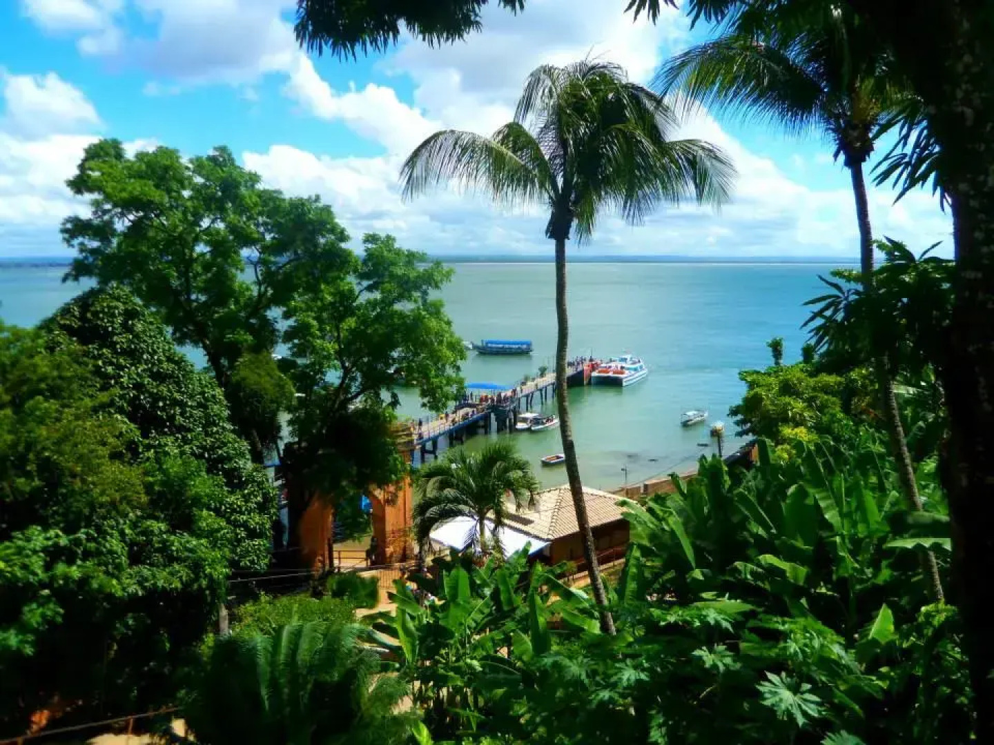 Отель Village do Dendê Garden Guesthouse and Bungalows