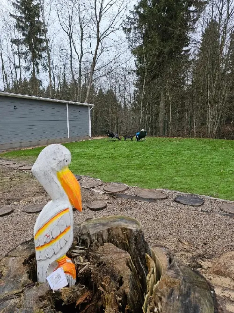 Гостевой дом Пеликан 1