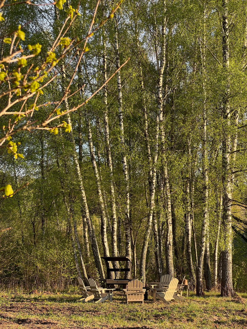 Гостевой дом Шелест