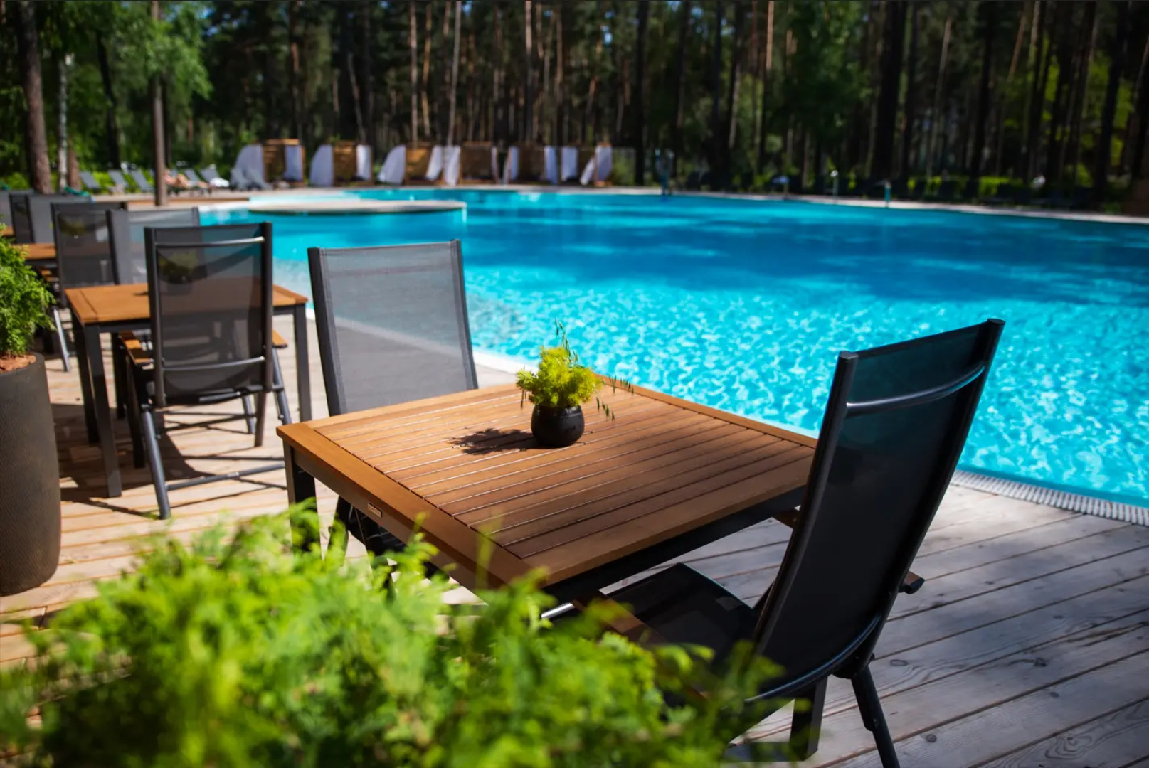 Отель Grand Chalet Altay