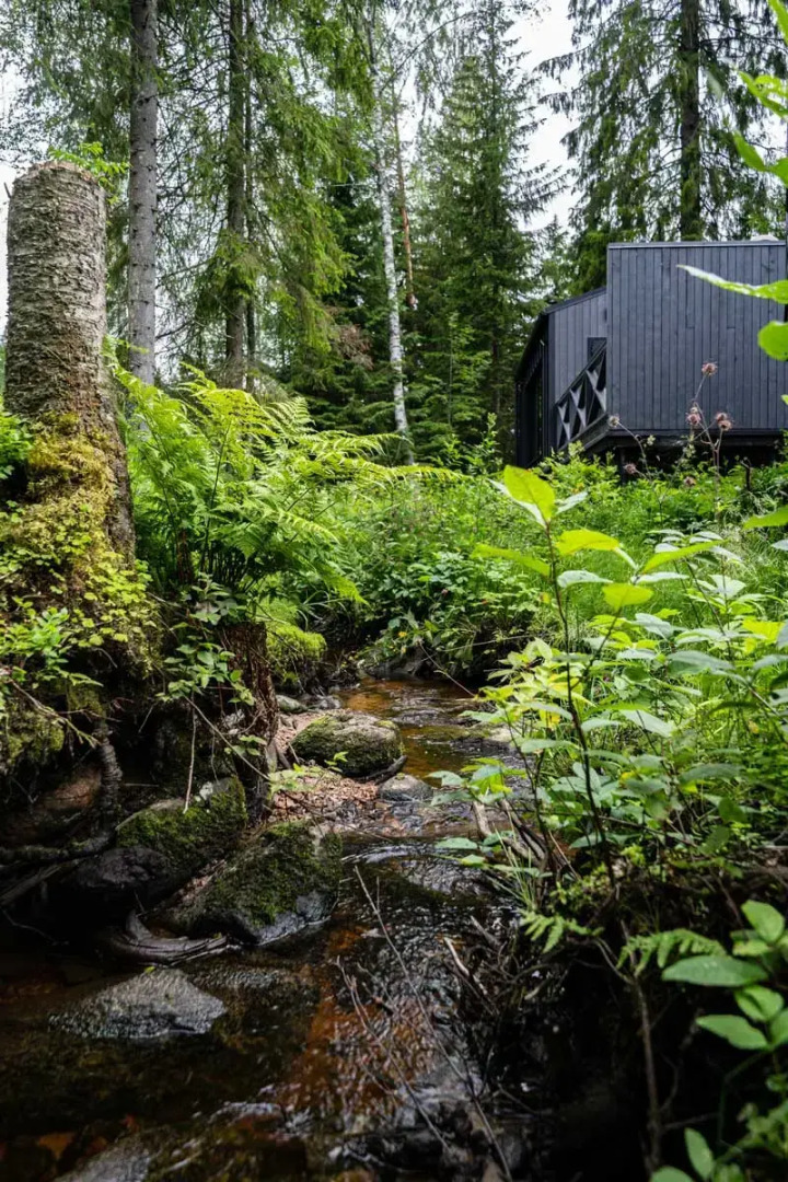 Частный дом Anttila Hutor 12