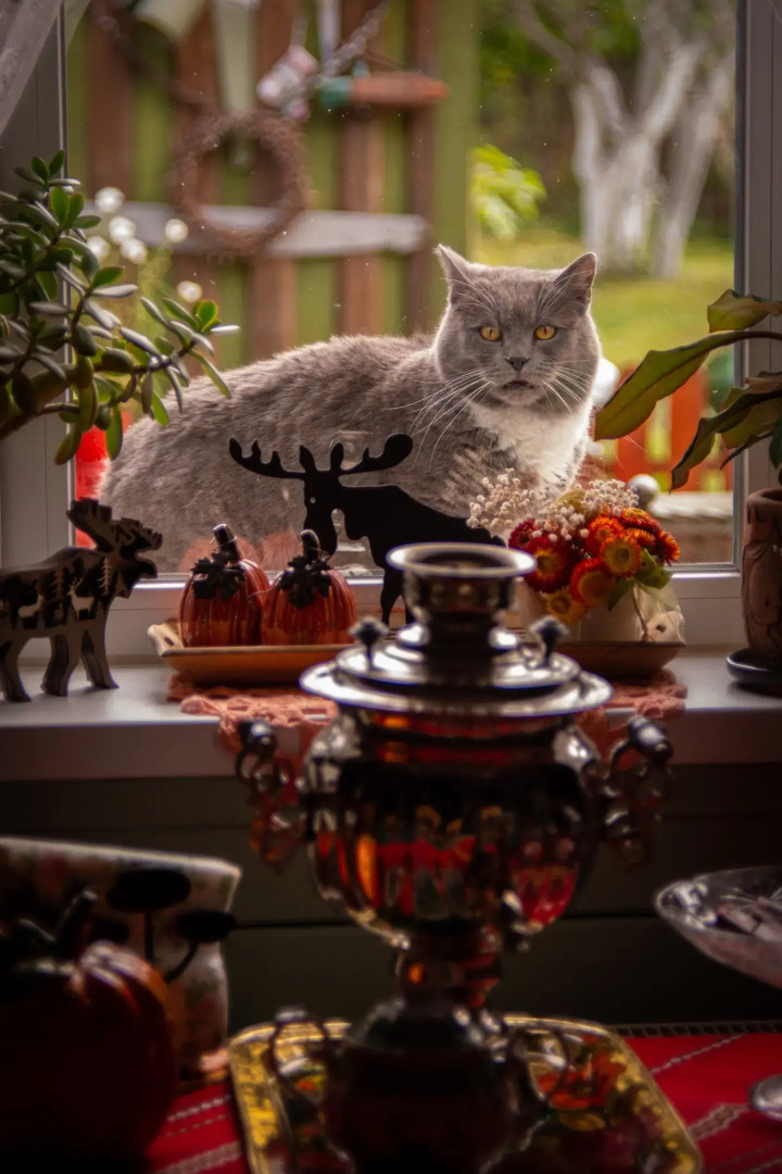 Гостевой дом Лосиный Тупичок