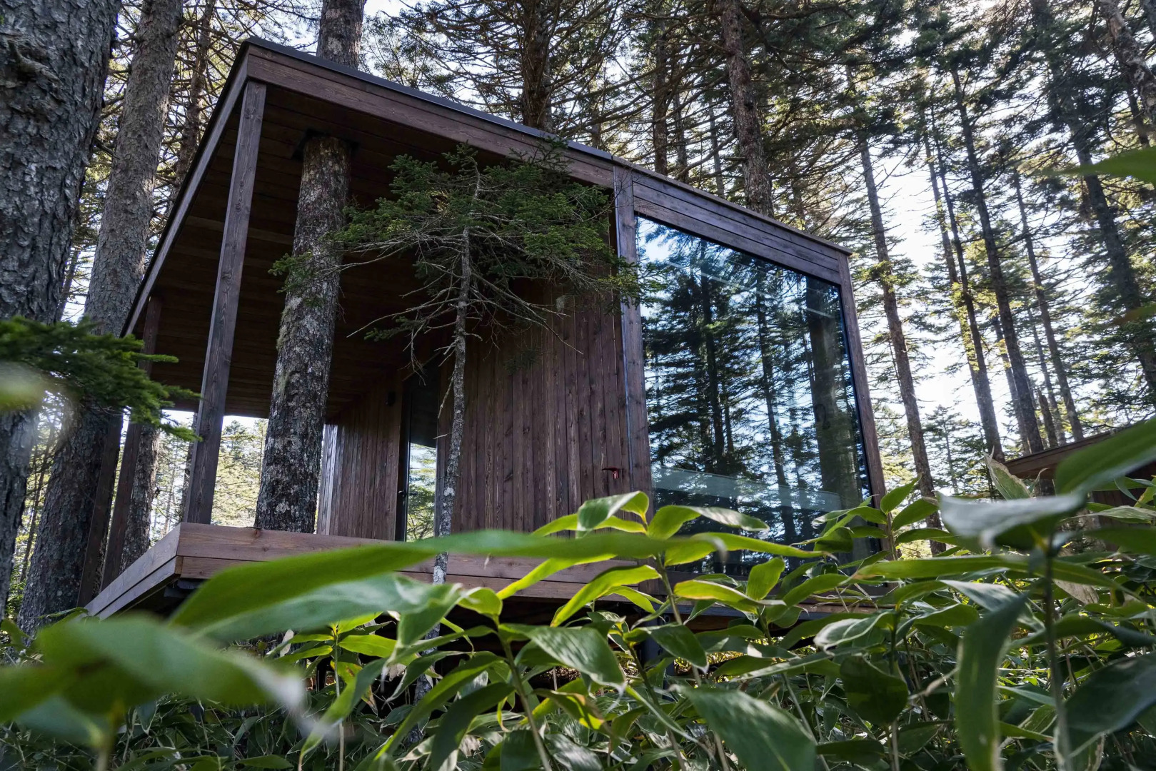 База отдыха Кунашир Резорт и СПА