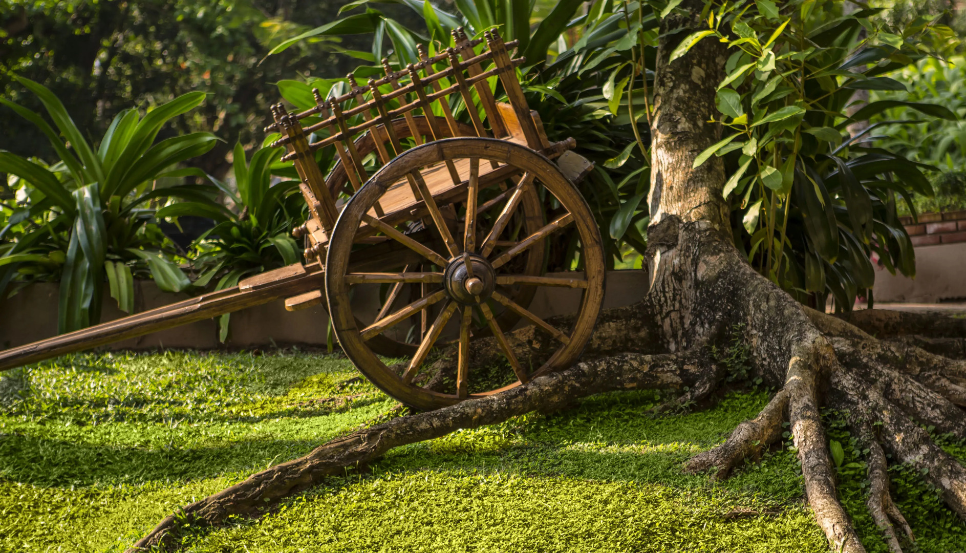 Hotel Royal Palms Beach