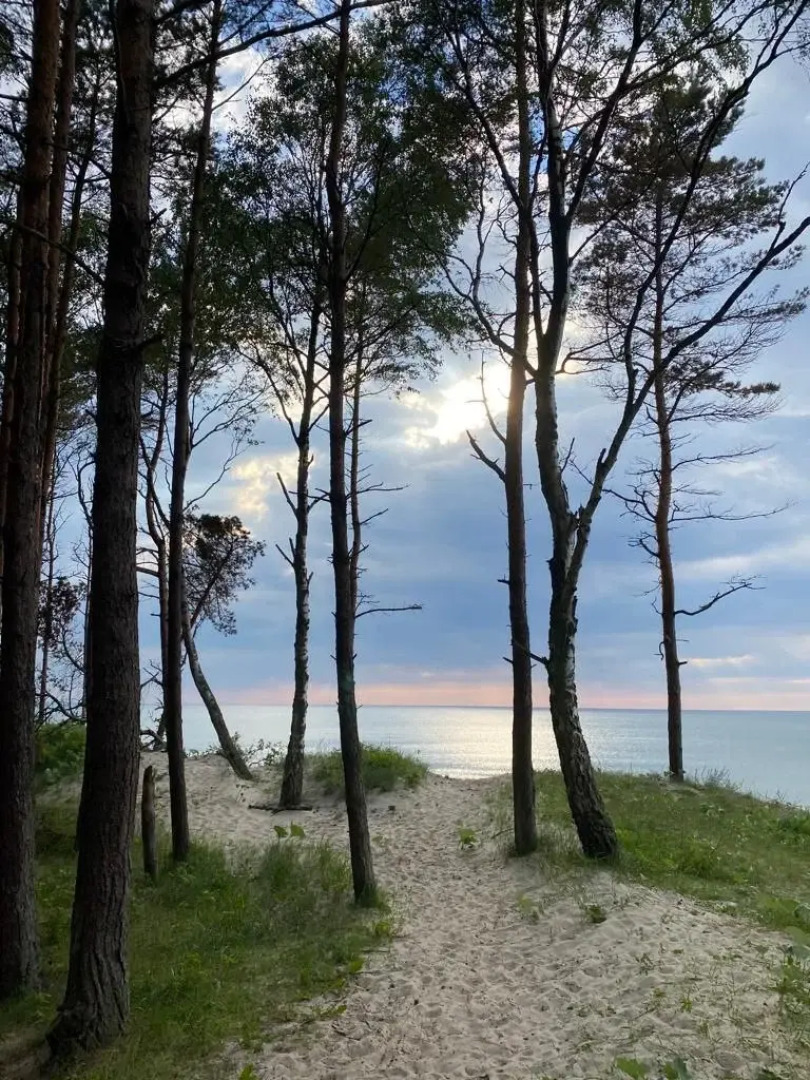 Апартаменты у моря на Косе