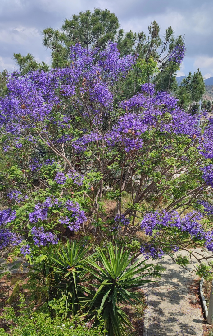 Апартаменты Sea View Apartment with a roof terrace