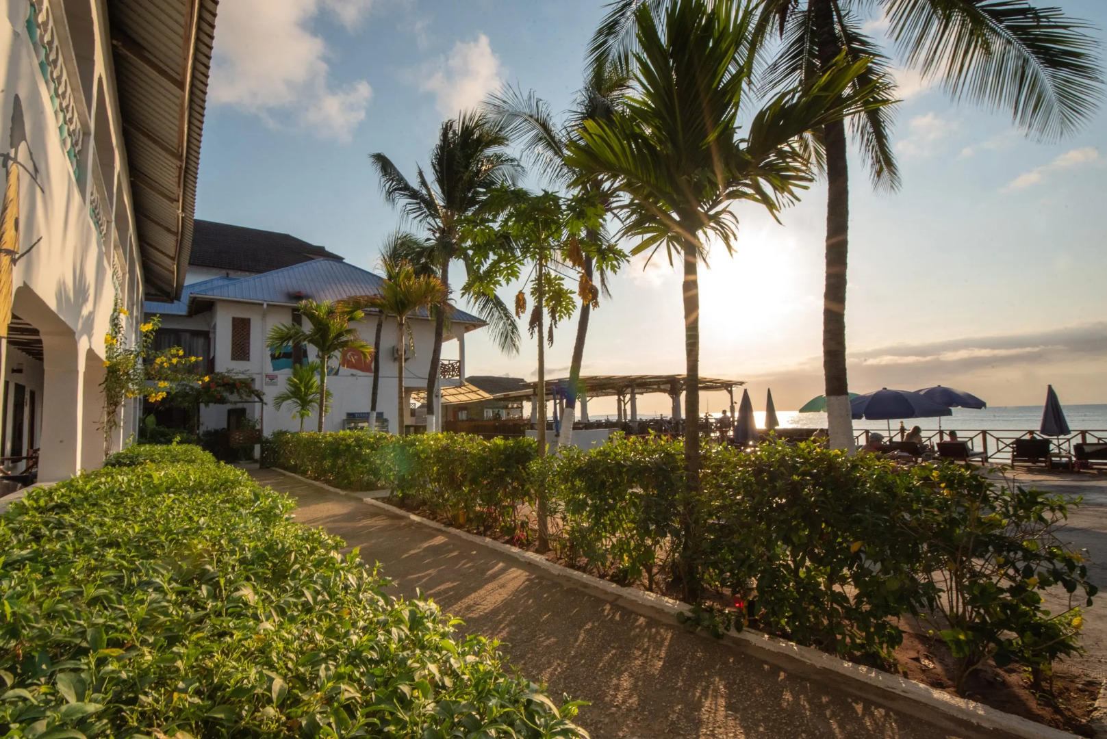 Отель Zenobia Beach Resort