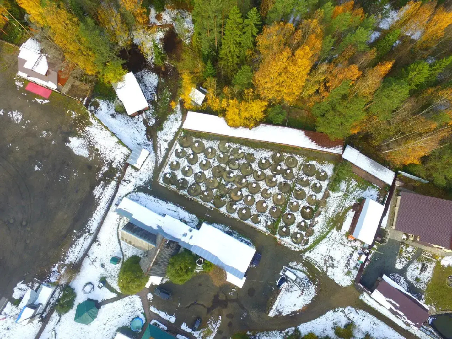 Гостевой Дом Husky Moa