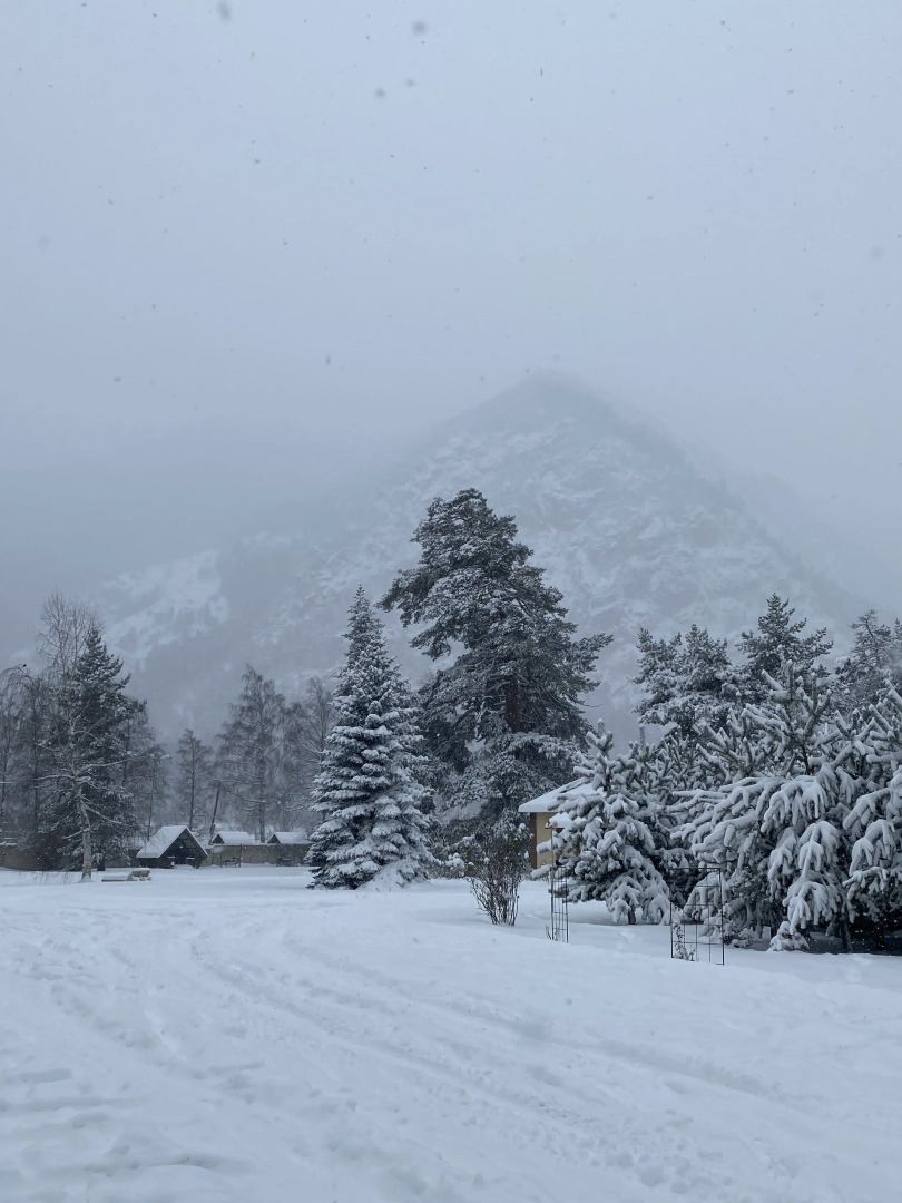 Гостевой Дом Чегет