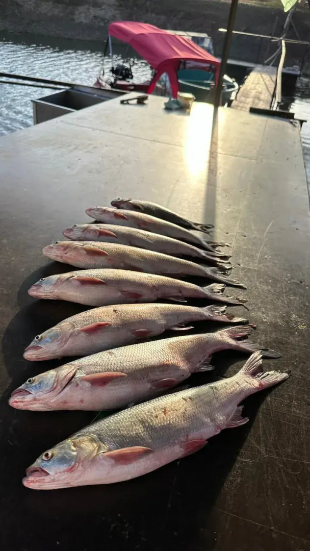 Отель Клевое место