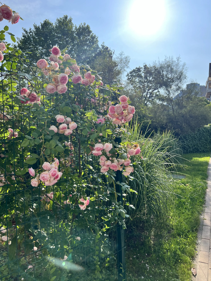 Апартаменты Каравелла Португалии