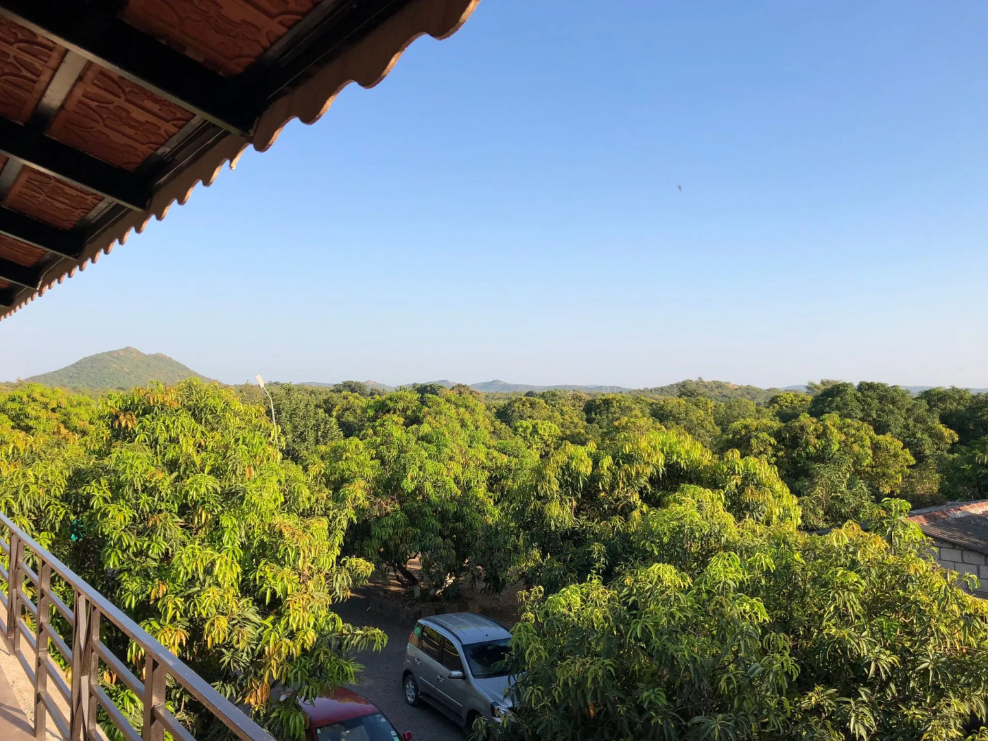 Отель Gir Lions Paw Resort