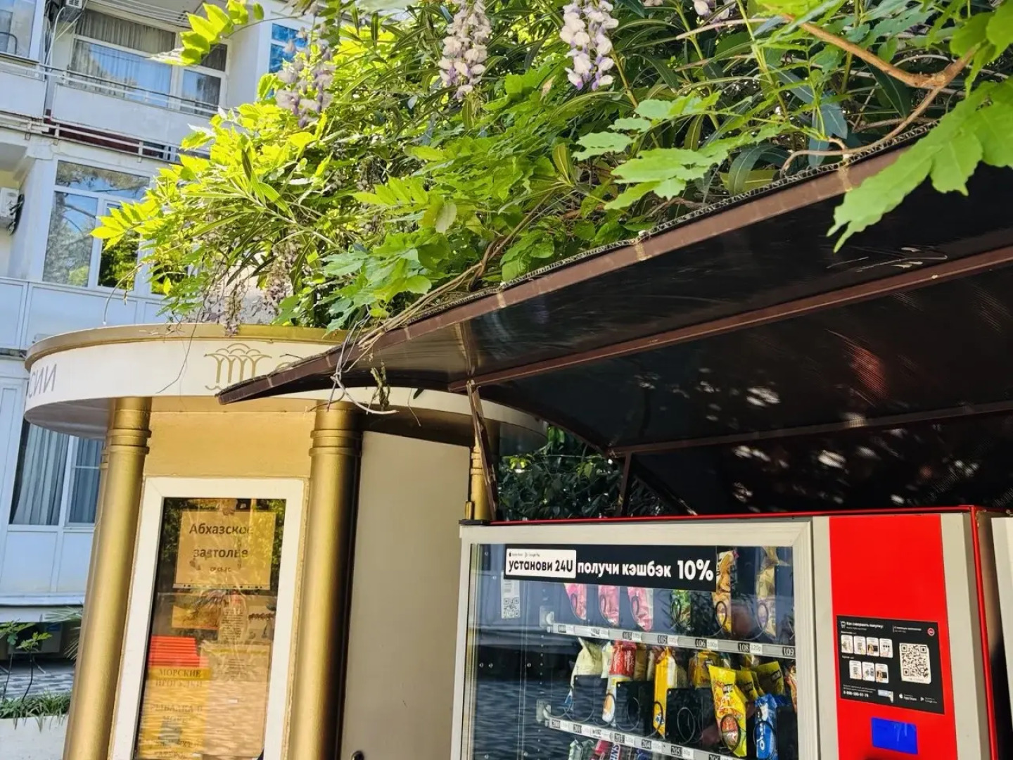 Апартаменты Пальма 1