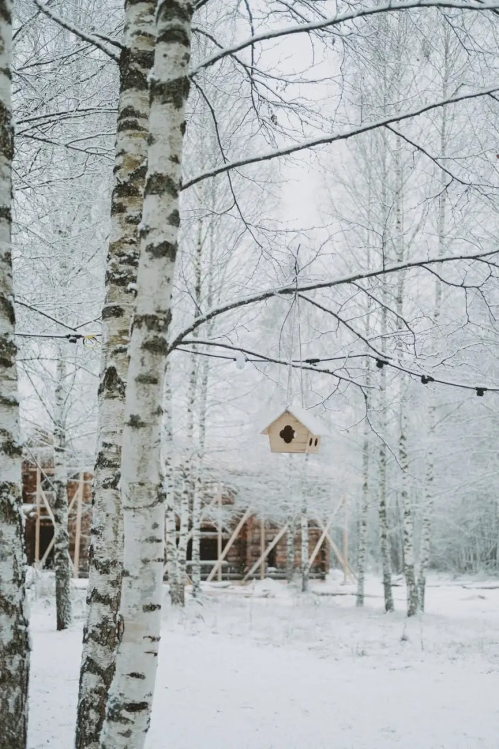 Частный Дом Лакшми