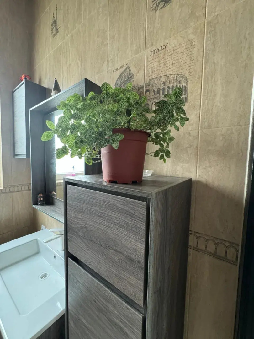 Частный Дом Коттедж-Балтик 180м2 на Берегу Балтийского Моря