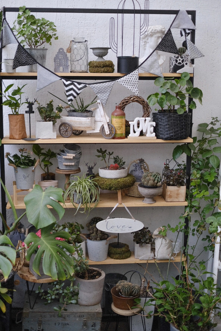 Квартира Старинный Дом с Двориком в Центре