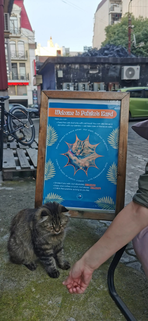 Хостел Harmony