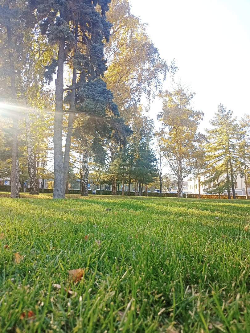 Апартаменты на улице Телевизионная 16а