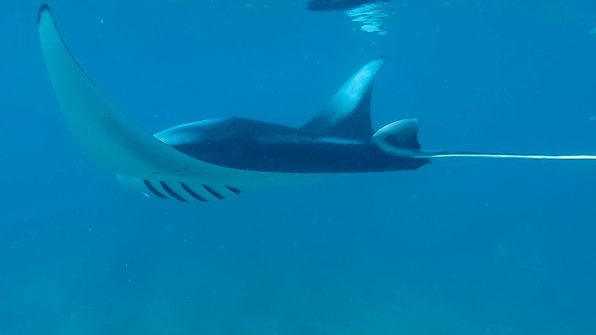 Вилла Moodhu Inn