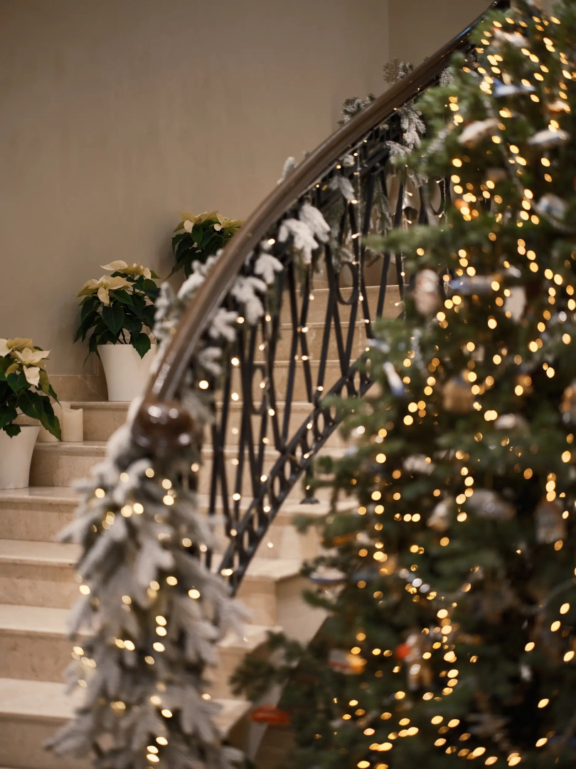 Отель Indigo St. Petersburg-Tchaikovskogo