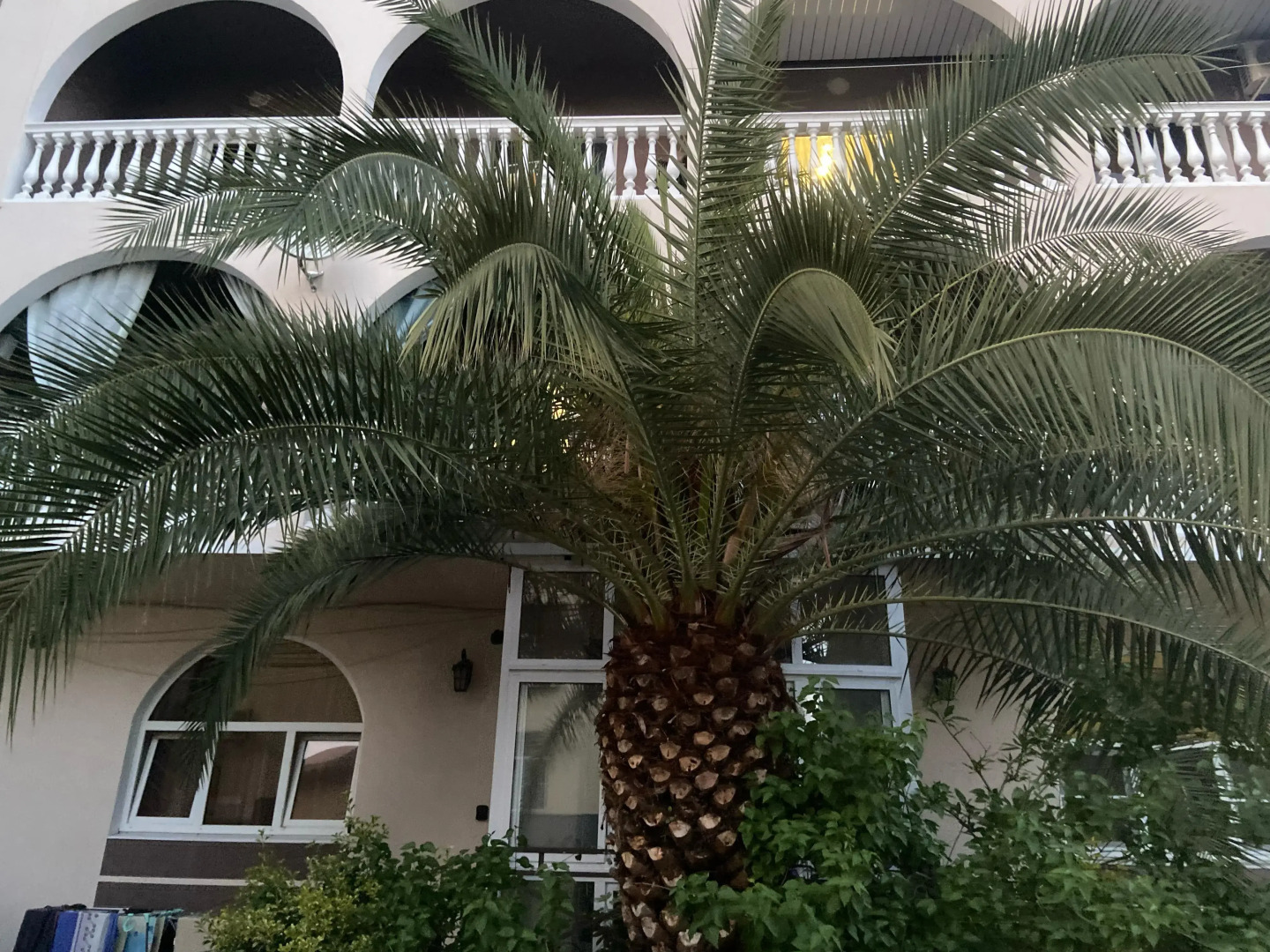 Квартира Loft Studiya Sirius