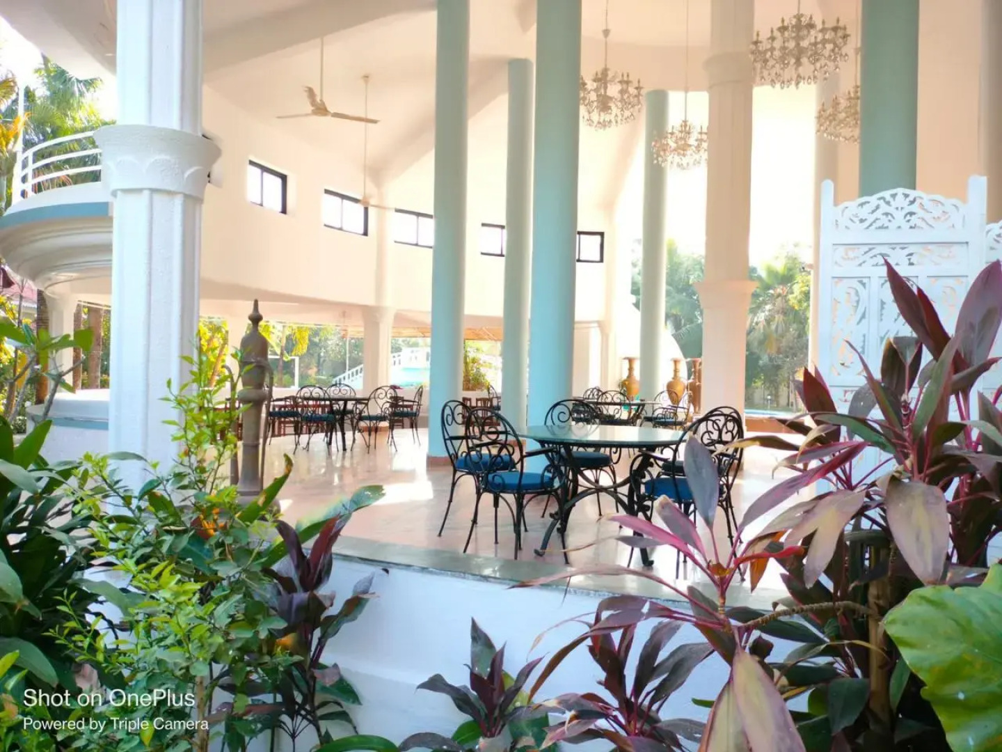 Курортный отель Sashas Holiday Village