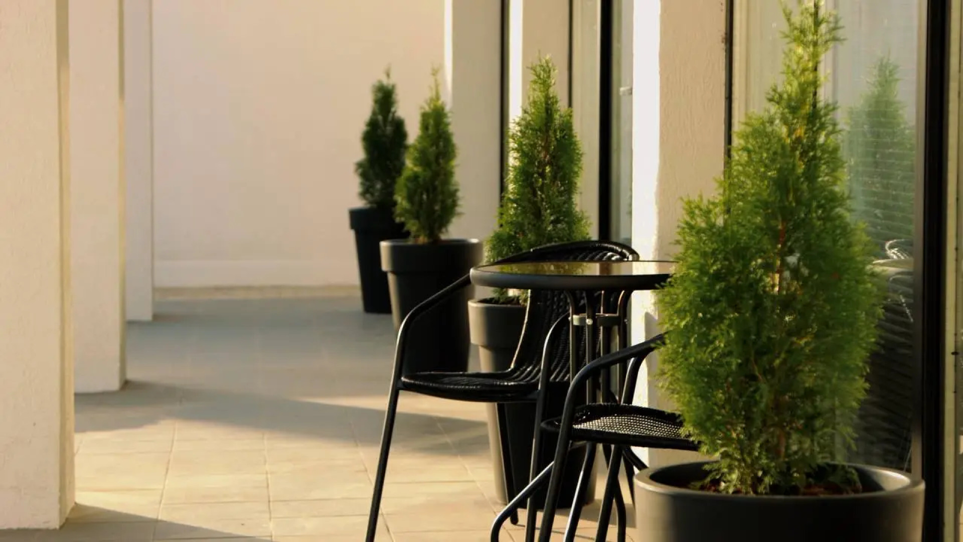 Отель FAMS HOTEL