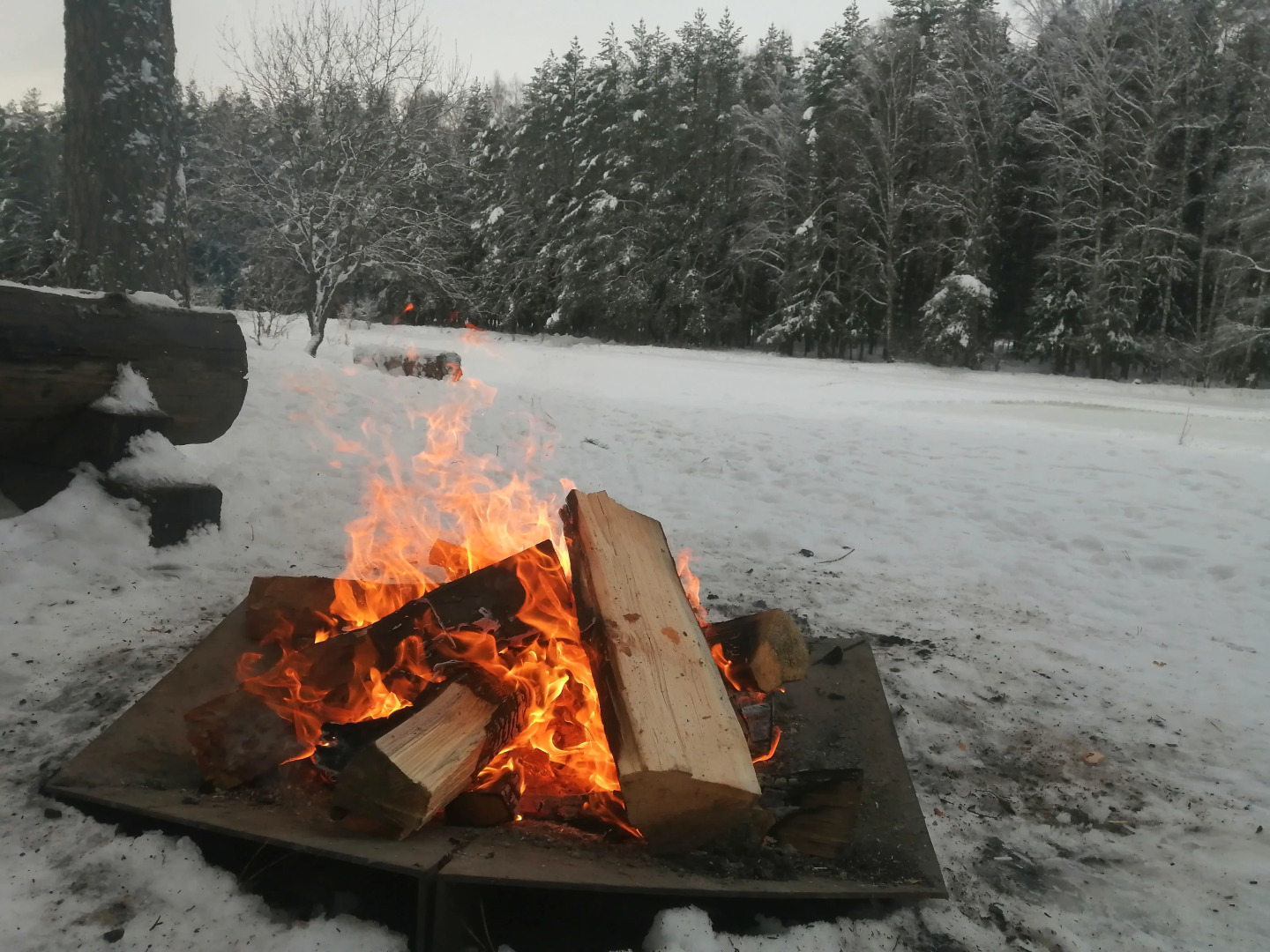 Частный дом в Заветах Ильича с голубой гостиной