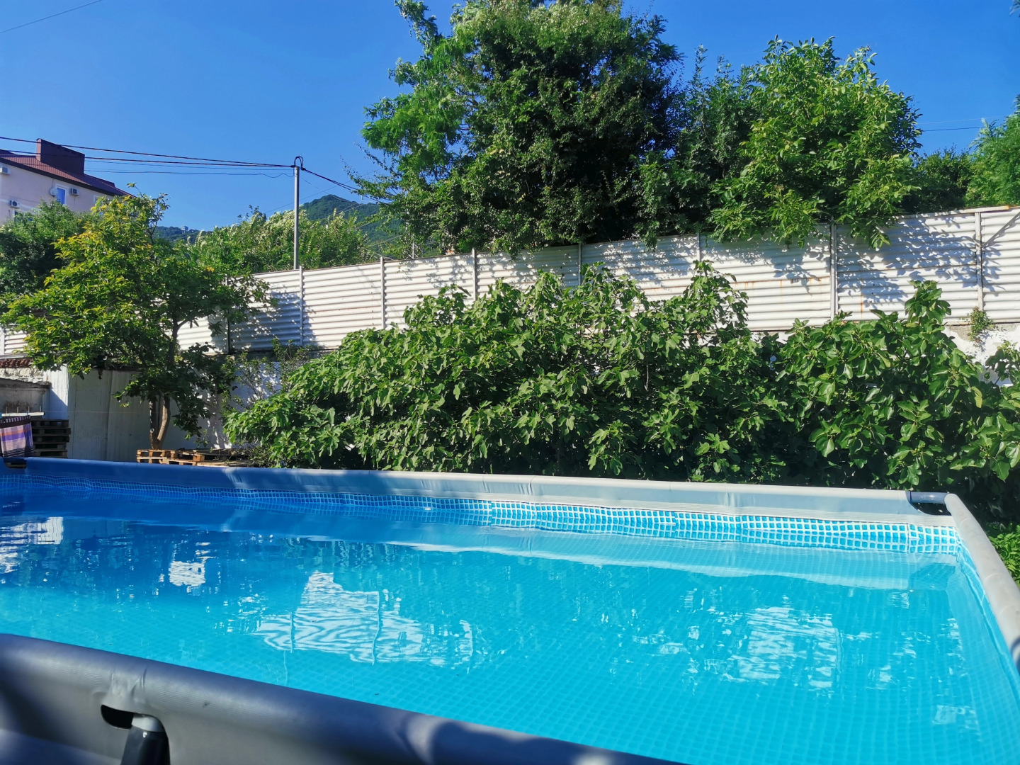 Гостевой дом Эллис