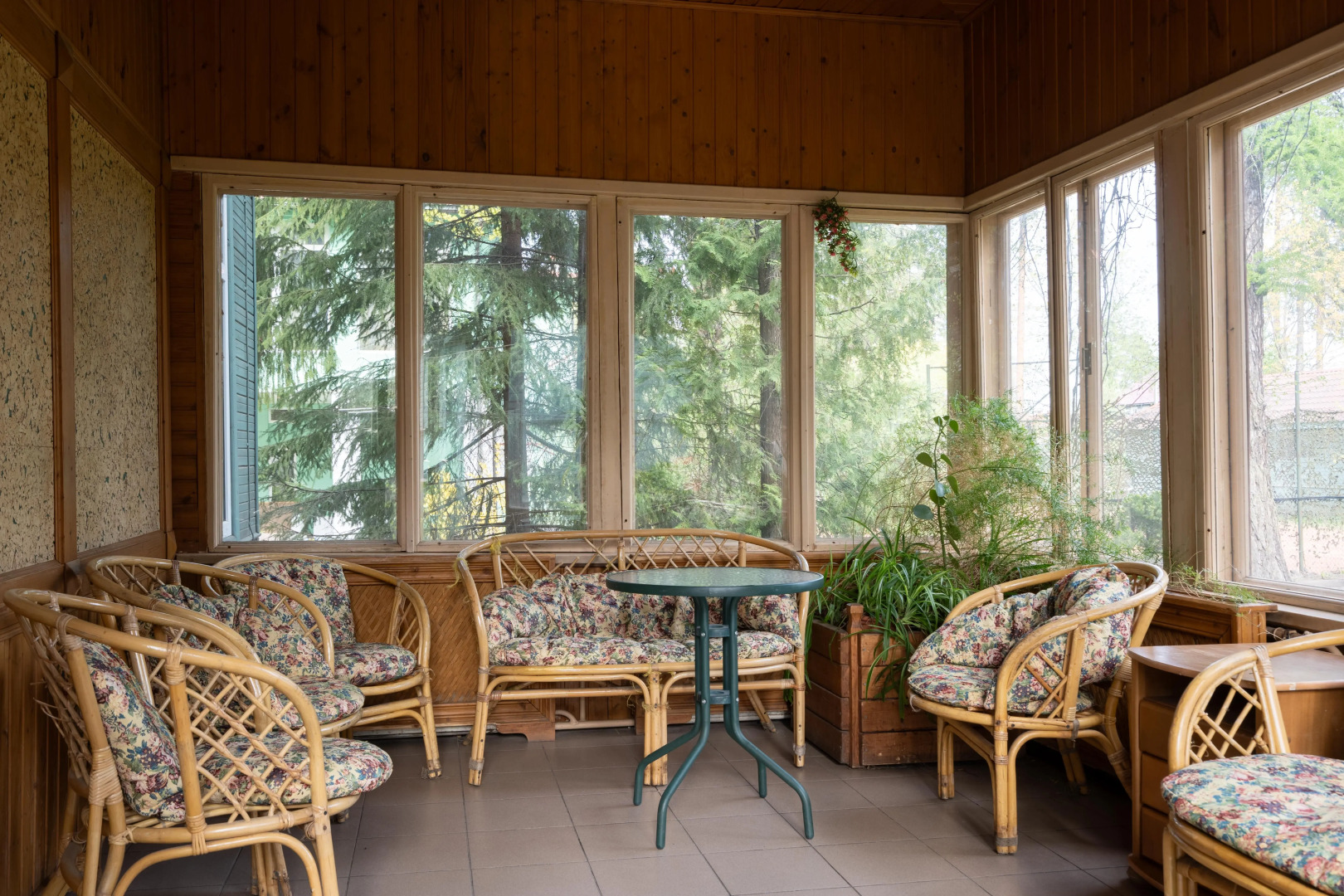 Отель Forest Relax