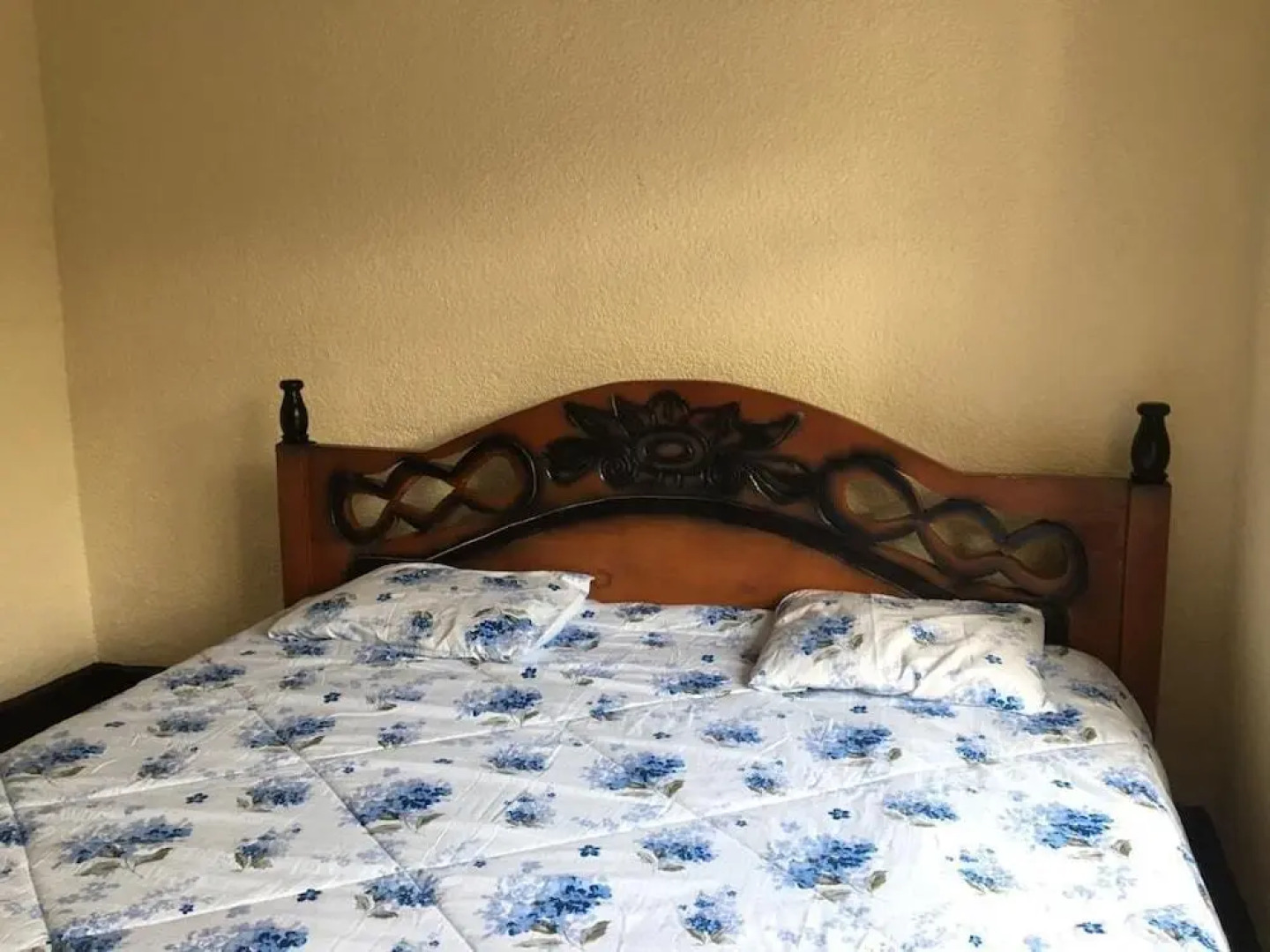 Virunga Homestay & Campsites