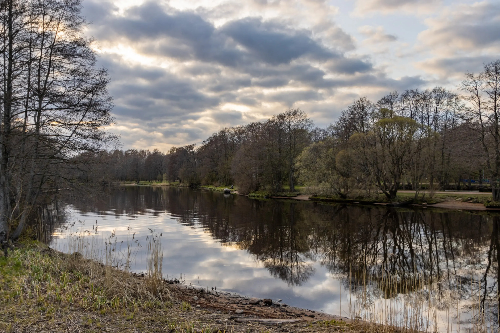 Апартаменты Чистый Воздух