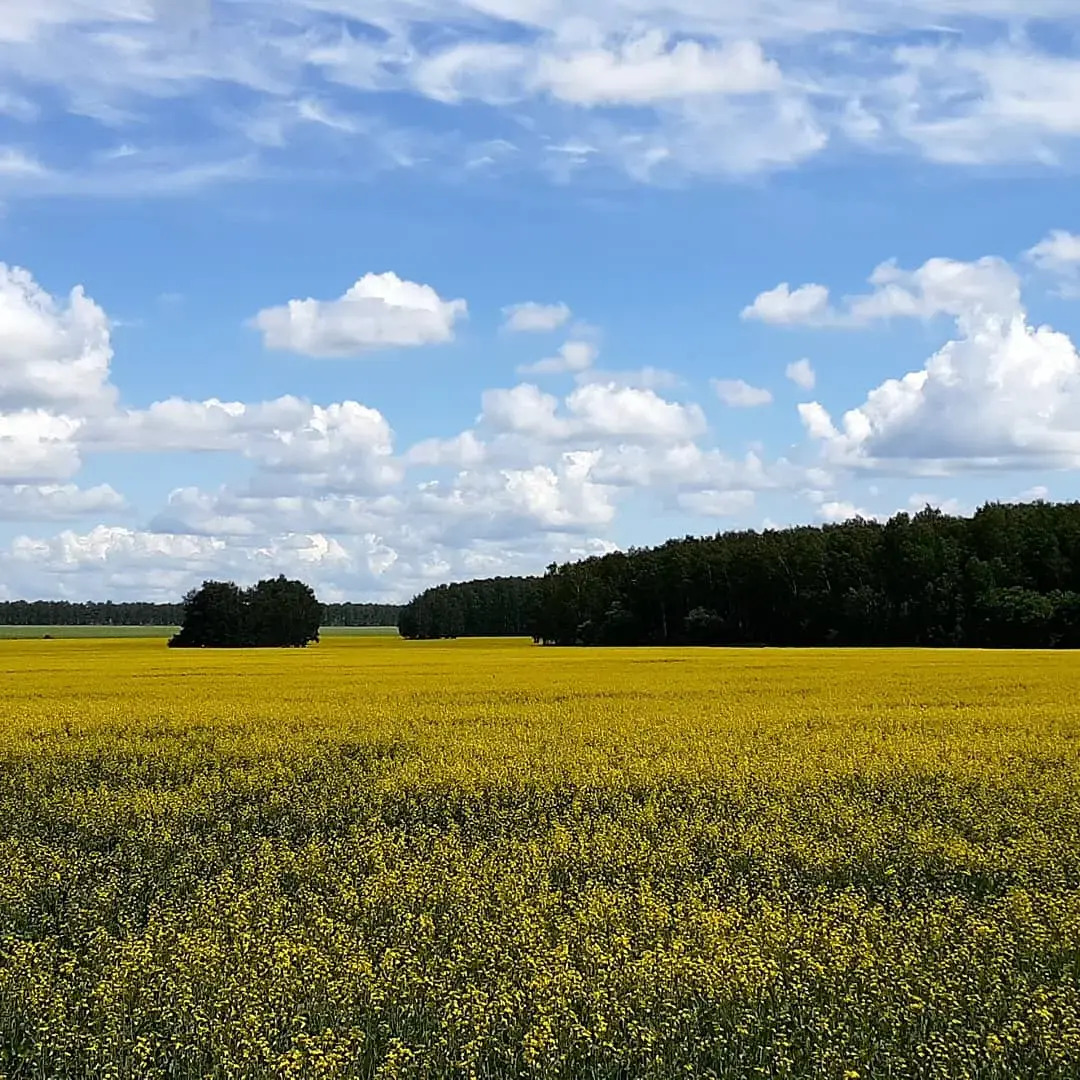 Частный дом Гостевой дом Усадьба Теплый хутор