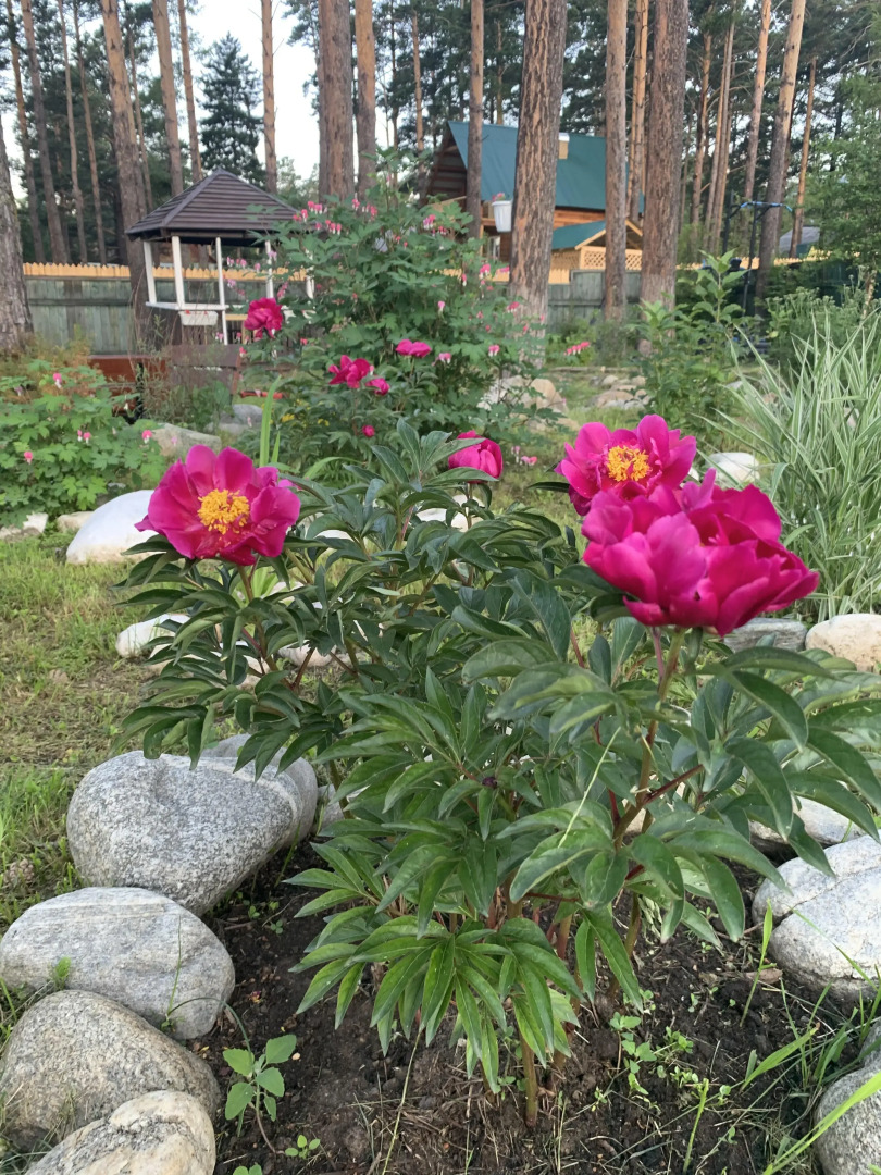 Мини-отель Подснежник