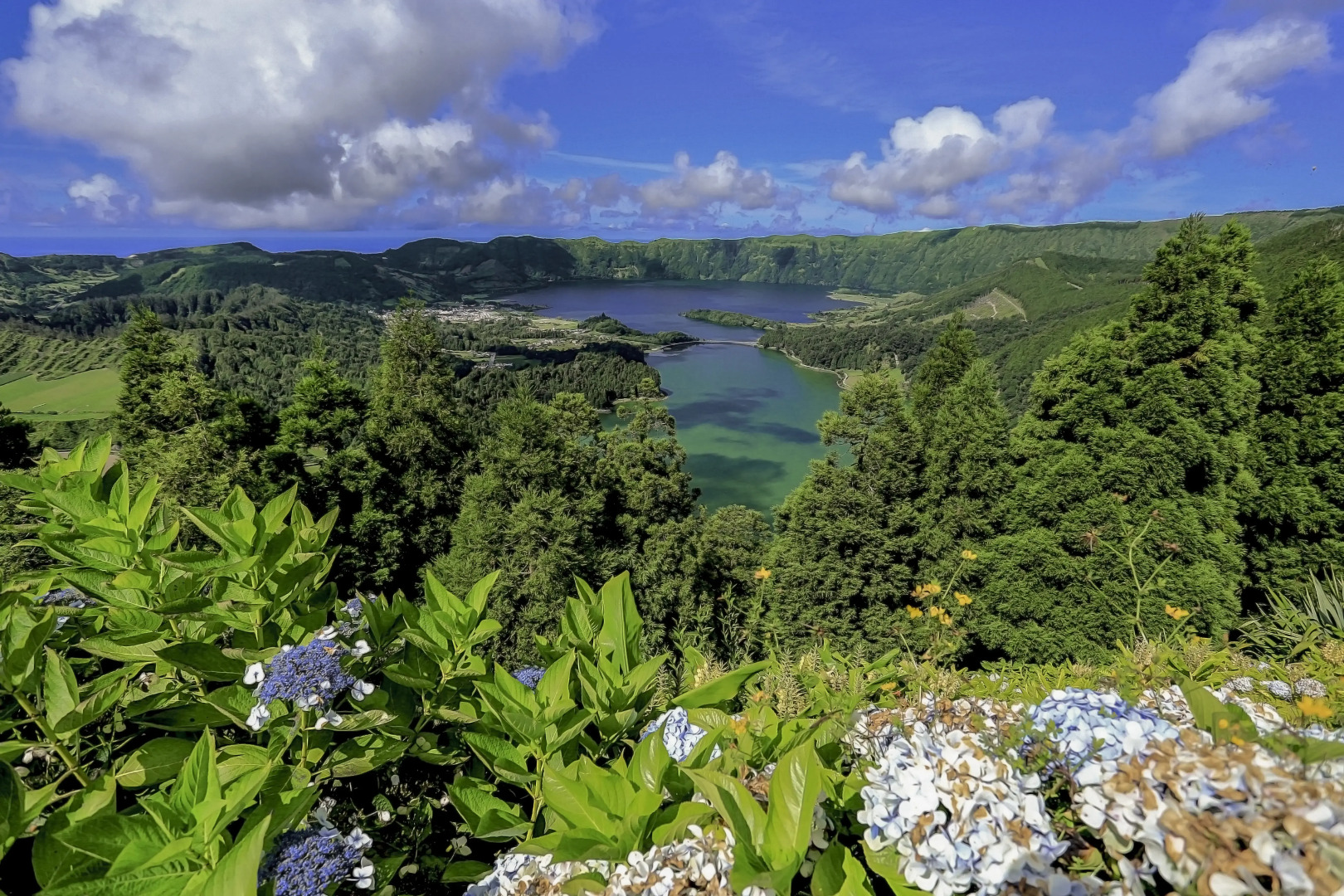 Отель MS Vila Nova