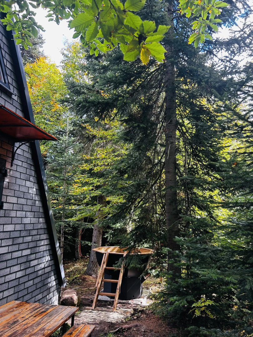 Счастливый лось