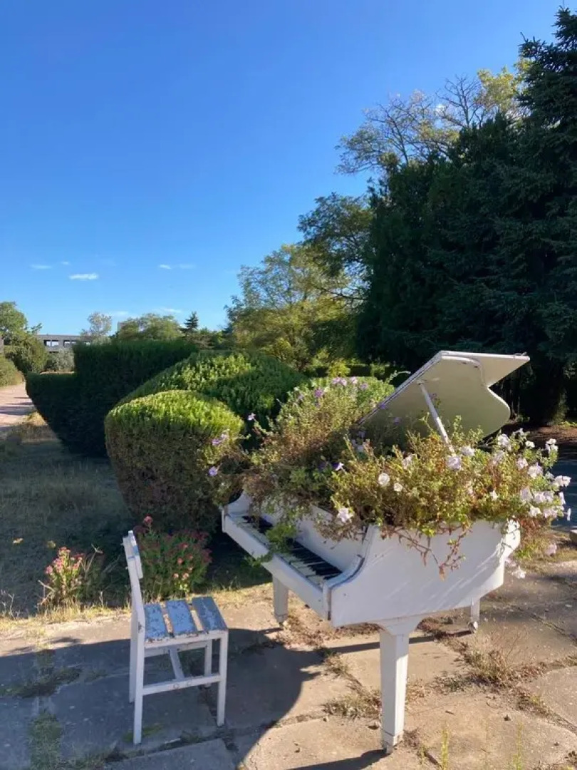 Санаторий Международный Детский Медицинский Центр Чайка